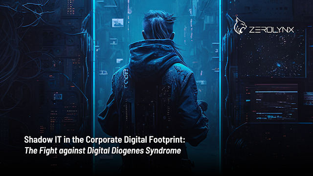 Shadow IT in the Corporate Digital Footprint: The Fight against Digital Diogenes Syndrome